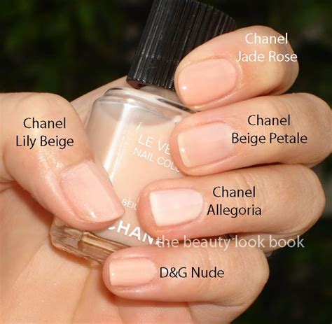 chanel allegoria nail polish|chanel feno nail color.